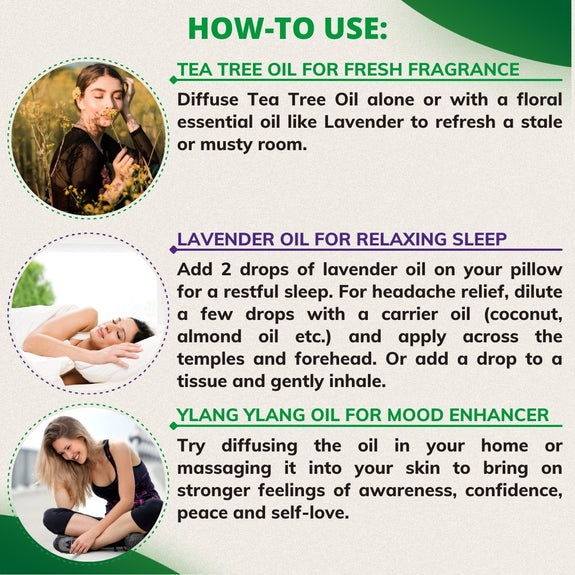 lavender tea tree oil benefits Pack of 3 Essential Oils (Tea Tree, Lavender, Ylang Ylang) – Essancia®