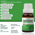 Rosemary Essential Oil Essancia