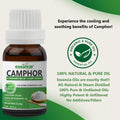 Camphor Essential Oil Essancia Living