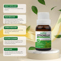 Pack of 6 Essential Oils (Peppermint, Lavender, Lemonrass, Eucalyptus, Citronella, Lemon) Essancia