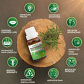 Pack of 9 Essential Oils (Tea Tree, Lavender, Lemon, Orange, Peppermint, Eucalyptus, Ylang Ylang, Rosemary, Lemongrass) Essancia