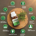 Pack of 4 Essential & Carrier Oils (Tea Tree Oil, Rosemary Oil, Castor Oil, Coconut Oil) Essancia