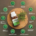 Pack of 6 Essential oils ( Tea Tree, Peppermint, Lavender, Eucalyptus, Cedarwood, Citronella) Essancia