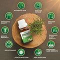 Pack of 6 Essential oils ( Tea Tree, Bergamot, Lemongrass, Rosemary, Eucalyptus, Cedarwood) Essancia