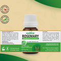 Rosemary Essential Oil Essancia