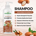 Essancia Moroccan Argan Oil Shampoo - Nourishes Dry Hair, Reduces Dandruff, and Supports Hair Growth (500ml) Essancia Living