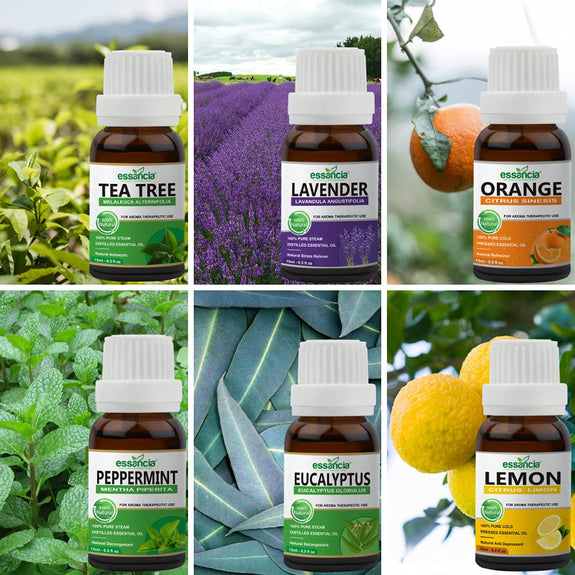 eucalyptus tea tree and lavender Pack of 6 Essential oils (Tea Tree, Peppermint, Orange, Lavender, Lemo – Essancia®
