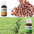 Pack of 2 Essential & Carrier Oils (Tea Tree & Jojoba) Essancia