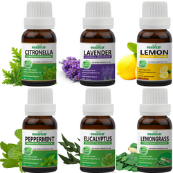 Pack of 6 Essential Oils (Peppermint, Lavender, Lemonrass, Eucalyptus, Citronella, Lemon)