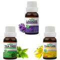 Pack of 3 Essential Oils (Tea Tree, Lavender, Ylang Ylang) Essancia