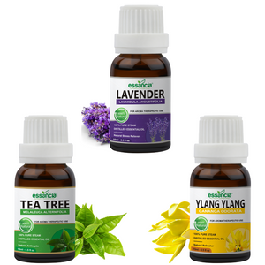 Pack of 3 Essential Oils (Tea Tree, Lavender, Ylang Ylang)