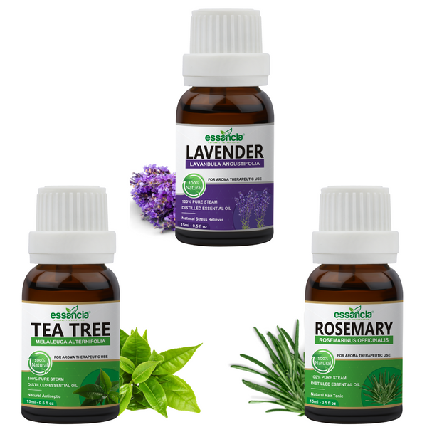 lavender tea tree oil Pack of 3 Essential Oils (Tea Tree, Lavender, Rosemary) – Essancia®