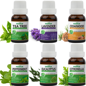 Pack of 6 Essential oils ( Tea Tree, Peppermint, Lavender, Eucalyptus, Cedarwood, Citronella)