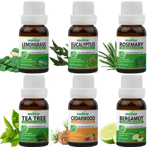 Pack of 6 Essential oils ( Tea Tree, Bergamot, Lemongrass, Rosemary, Eucalyptus, Cedarwood)
