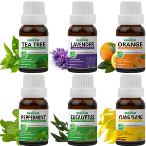 Pack of 6 Essential oils ( Tea Tree, Lavender, Orange, Eucalyptus, Peppermint, Ylang Ylang)