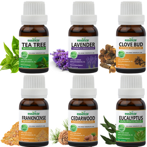 Pack of 6 Essential oils (Tea Tree, Lavender, Eucalyptus, Frankincense, Cedarwood, Clove Bud)