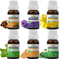 Pack of 6 Essential oils (Peppermint, Lavender, Lemongrass, Frankincense, Ylang Ylang, Cinnamon) Essancia