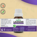 Lavender Essential Oil - Essancia Living