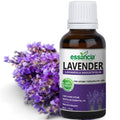 Lavender Essential Oil - Essancia Living